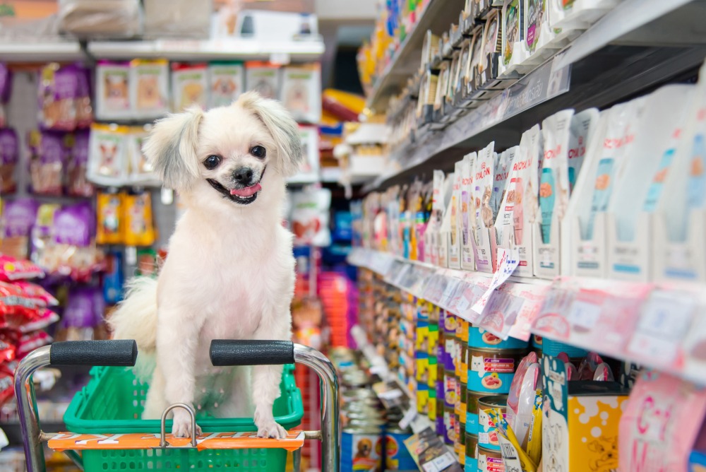 Small dog sitting in a shopping cart inside a pet store aisle, symbolizing strategies for expanding pet business products and services into international markets